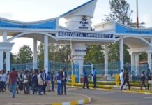 Ruto Announces Government Plan to Fully Fund Tertiary Education