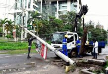 KPLC to Clear Trees to Prevent outage During El-Nino