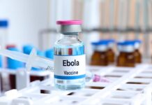 Race for Ebola Vaccine Gains Steam. Illustration of a container of Ebola vaccine