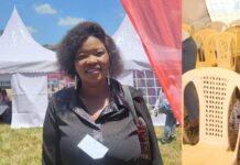 Cancer Stole Our Hair, We Found Strength in Wigs. A collage of beneficiaries of wigs from the Wigs and Wings for Cancer